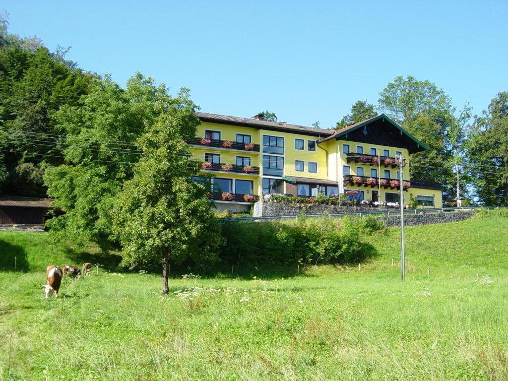 Hotel Zur Schonen Aussicht Ubersee Luaran gambar