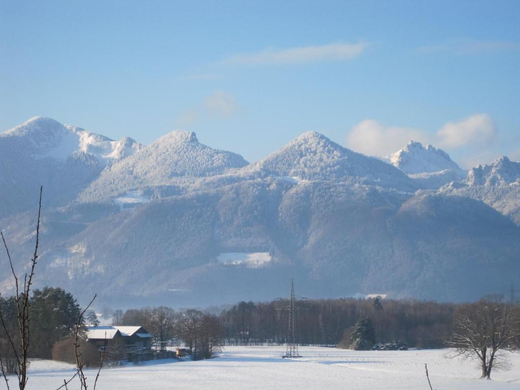 Hotel Zur Schonen Aussicht Ubersee Luaran gambar